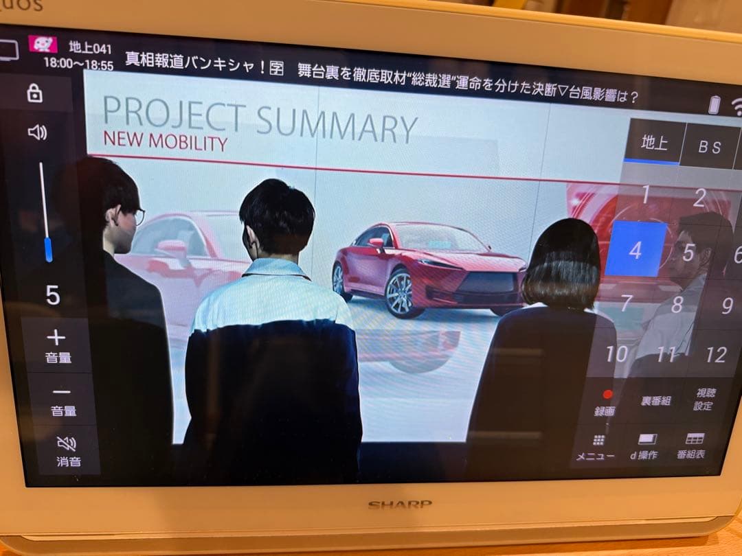 SHARP / ポータブルテレビ 2T-C16AP