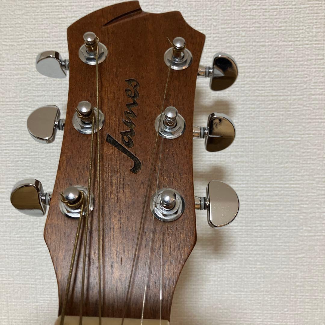 JAMES　エレアコ　アコースティックエフェクトシステム　取説付き　おまけ付き