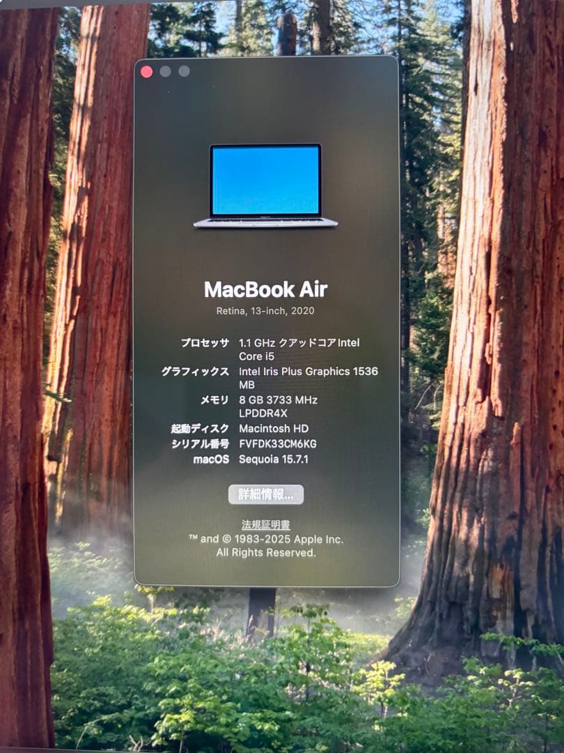 Apple MacBook Air 13インチ（2020年モデル/ A2179)