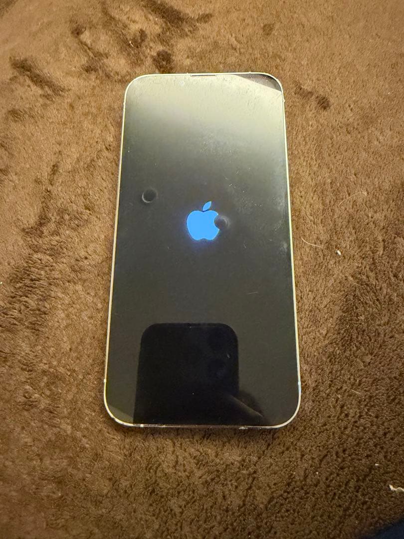 かいろApple iPhone 13 Pro シルバー 本体