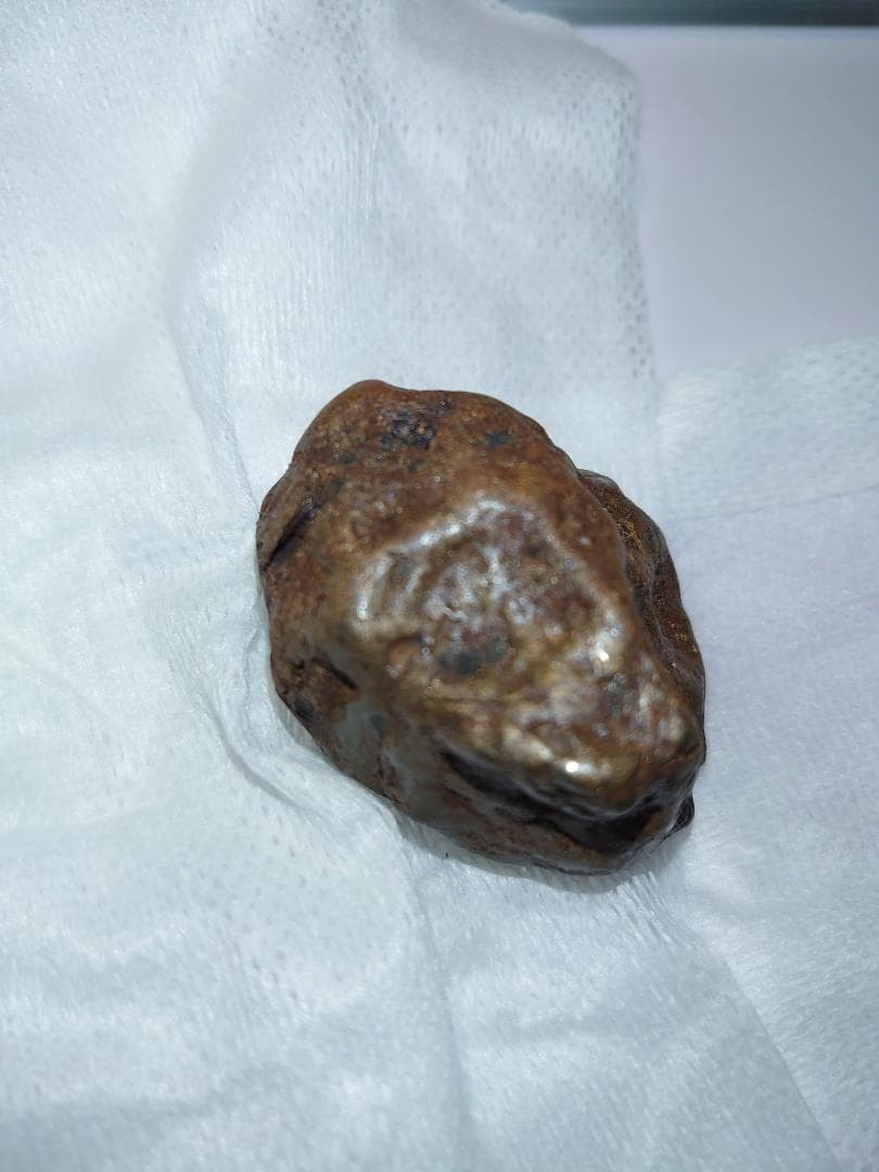 隕石 Sijoté-Alín. 189gr.