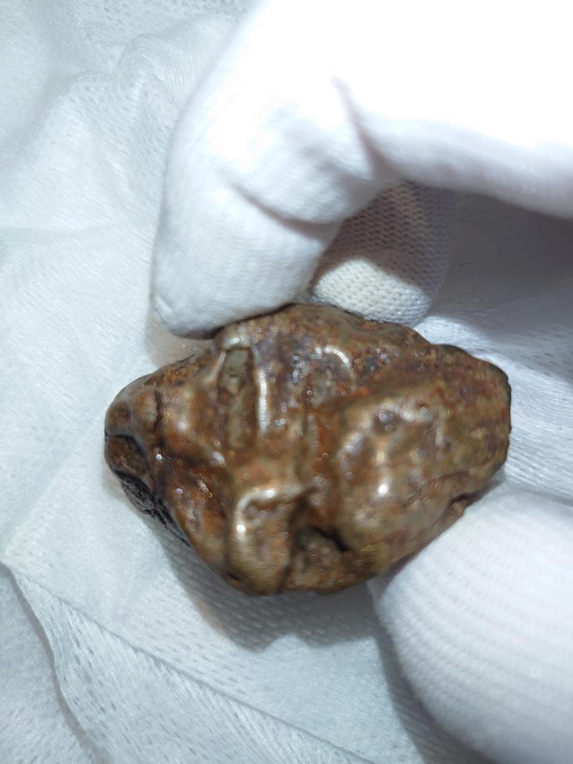 隕石 Sijoté-Alín. 189gr.