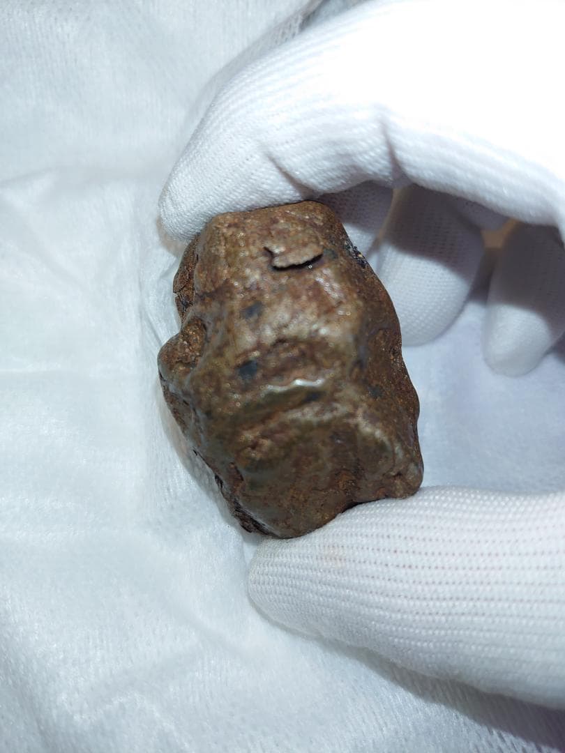 隕石 Sijoté-Alín. 189gr.