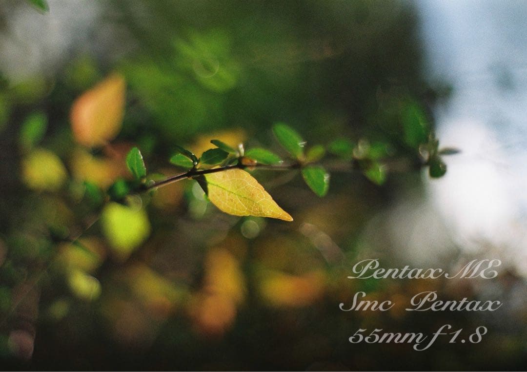 フィルム入門に！完動品＊超美品★pentax me★初期保証付★作例多数！