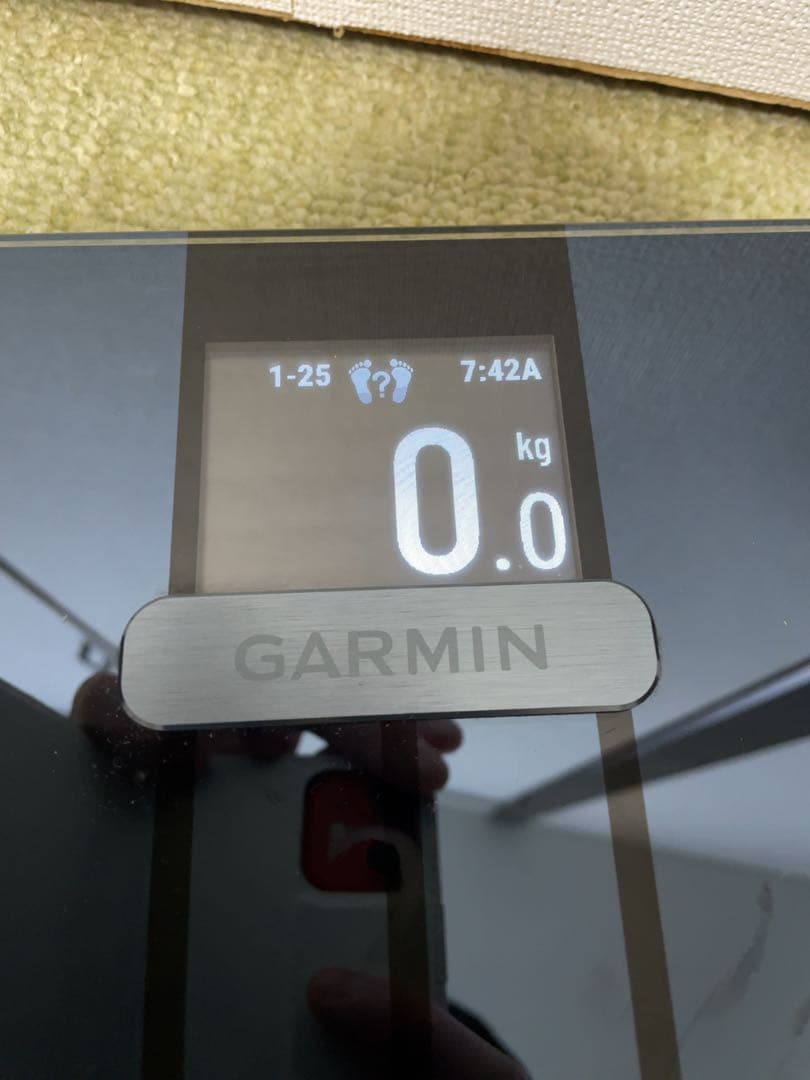 (美品 使用頻度僅か) GARMIN ガーミン INDEX S2