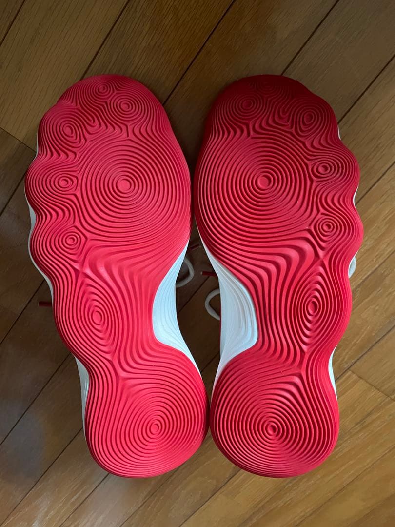 シューズ(男性用) Nike Hyperdunk 2017 Lunar New Year