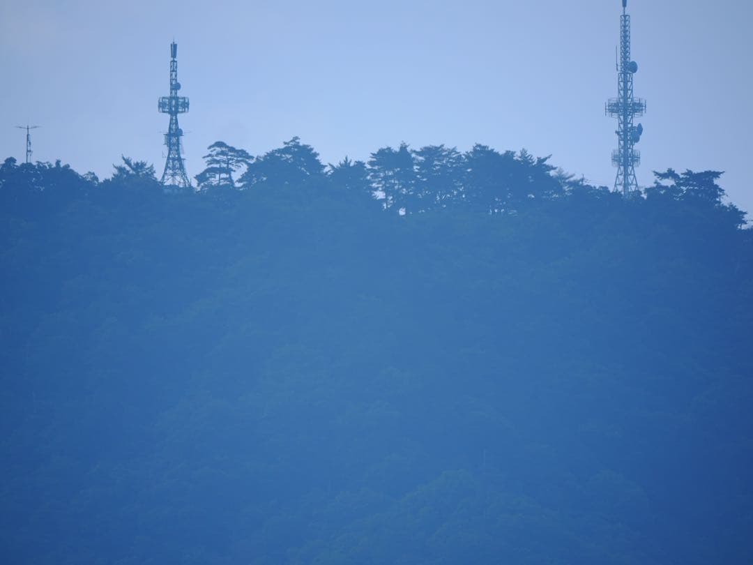 紫*花様 Panasonic LEICA DG VARIO-ELMAR 100-