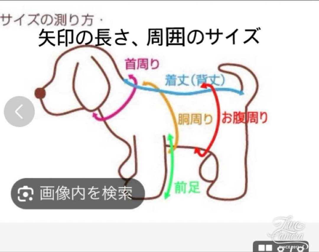 pon2pan2☆もも