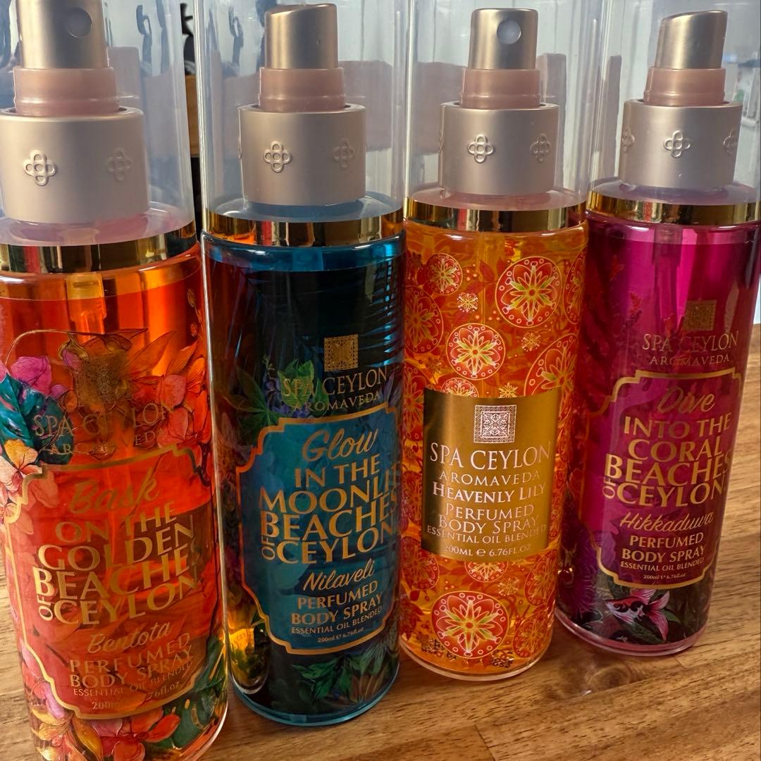 【スパセイロン】おまとめセット