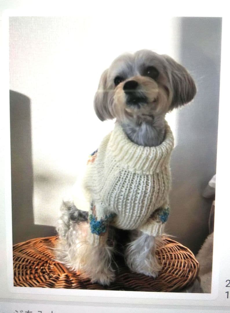 ご覧の皆様へ　採寸について少し…