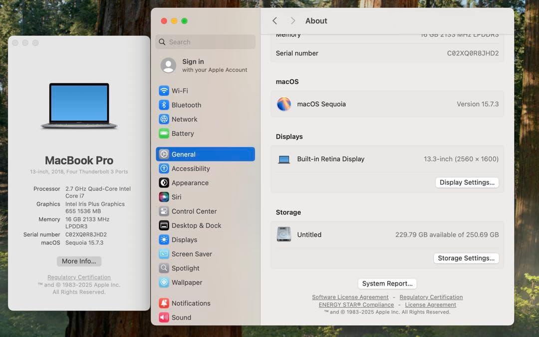 MacBook本体 Apple MacBook Pro 13 2018 i7/16GB/250GB