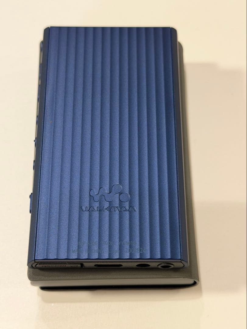 NW-A306 microSDXC512GB/ケース付 SONY WALKMAN