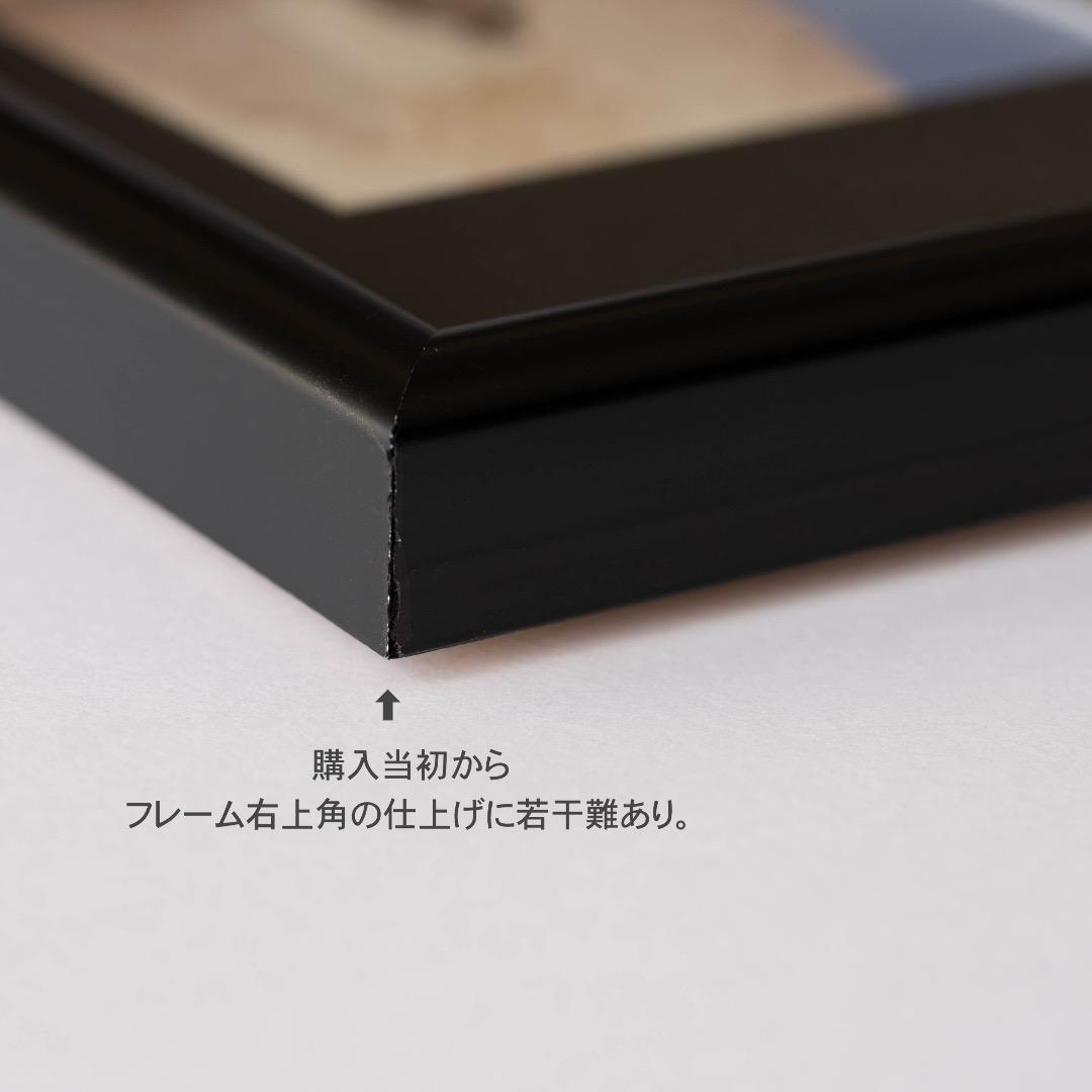 【レア】スターウォーズ エピソード1　額装切手シート starwars 洋画映画