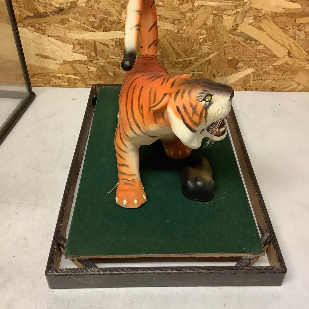 虎のガラスケース大型迫力置物 昭和レトロ 飾り 展示インテリア用品(P80)