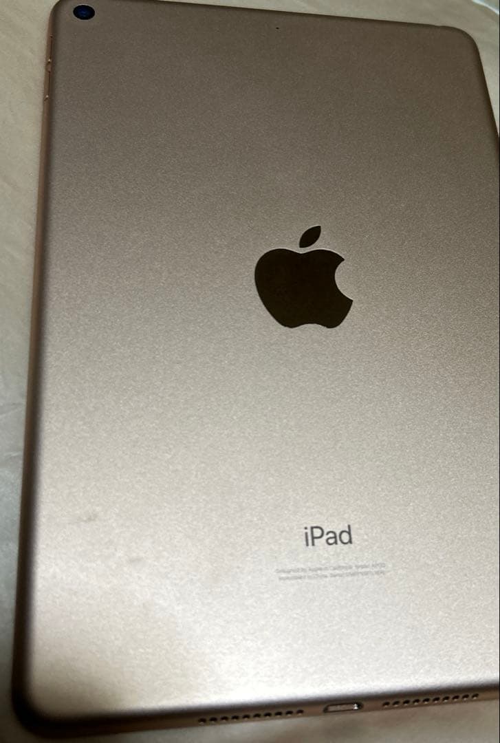 【ジャンク品】iPadmini 第5世代 ローズゴールド 64GB WiFi