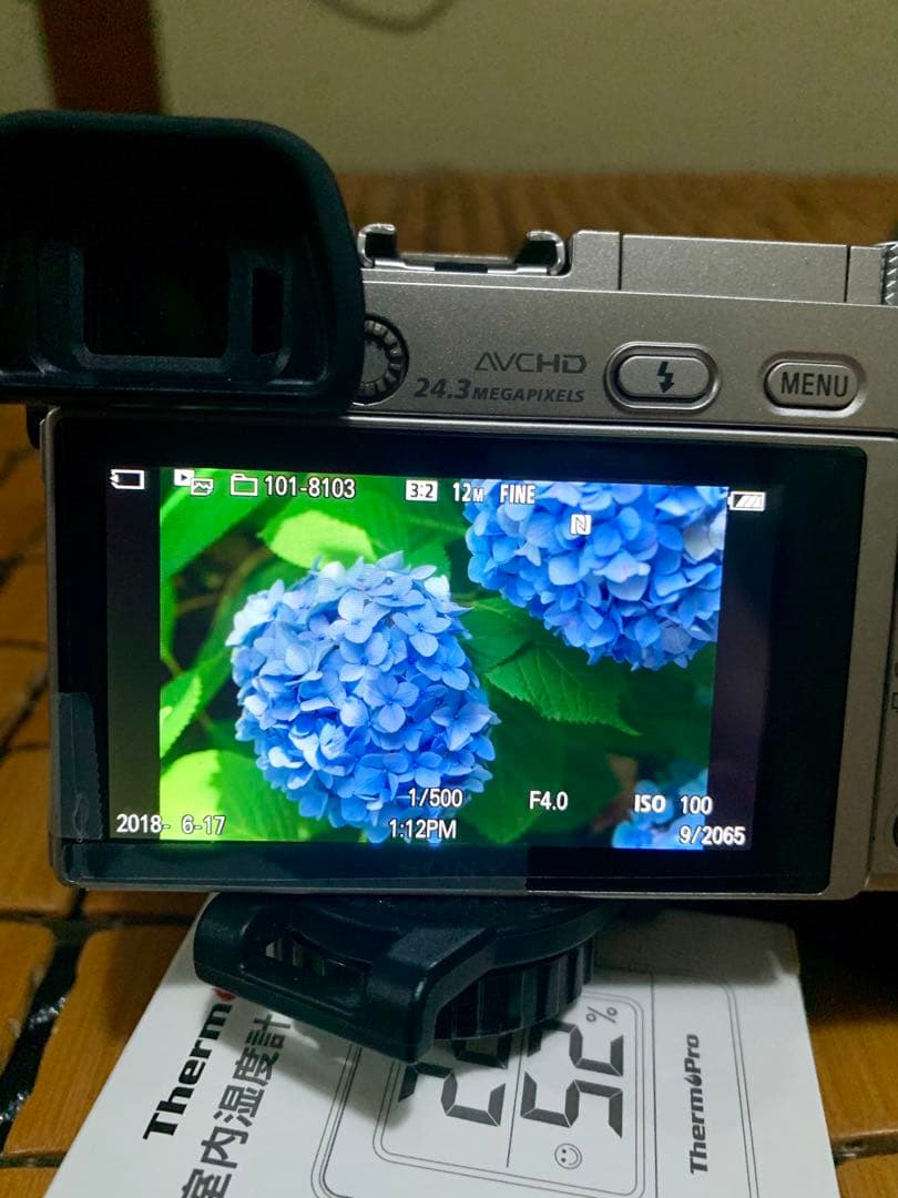 Sony α6000 ＋sigma art 60mm f/2.8セット