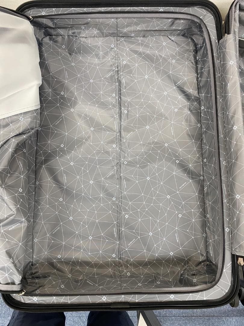 サムソナイト エレメントスーツケース 27インチ ブラックベリー 固定式TSA