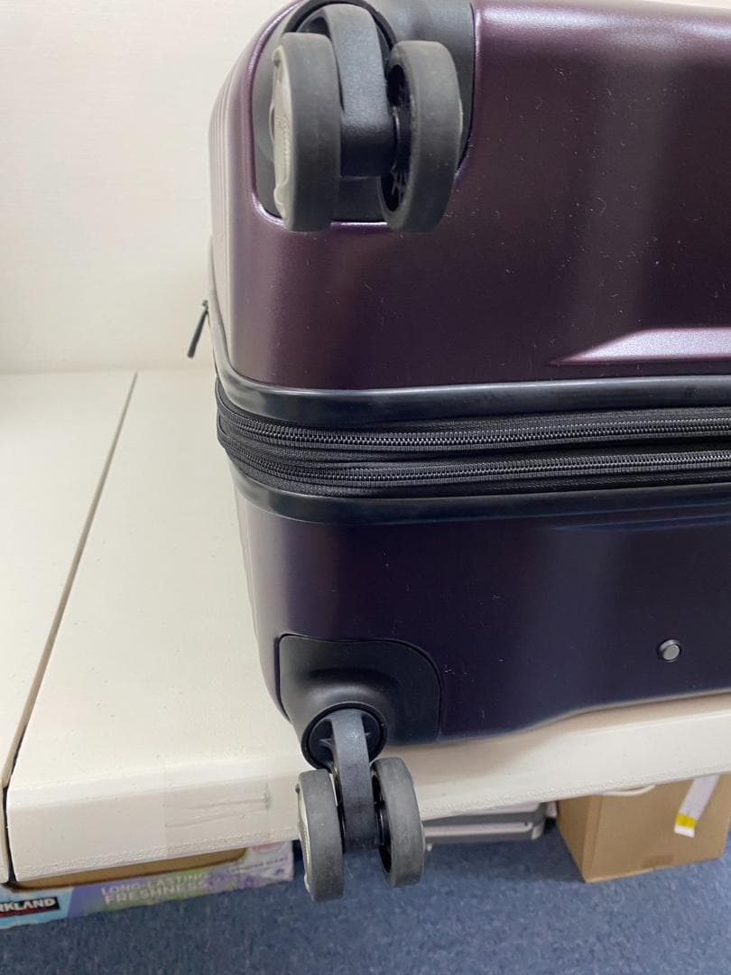サムソナイト エレメントスーツケース 27インチ ブラックベリー 固定式TSA