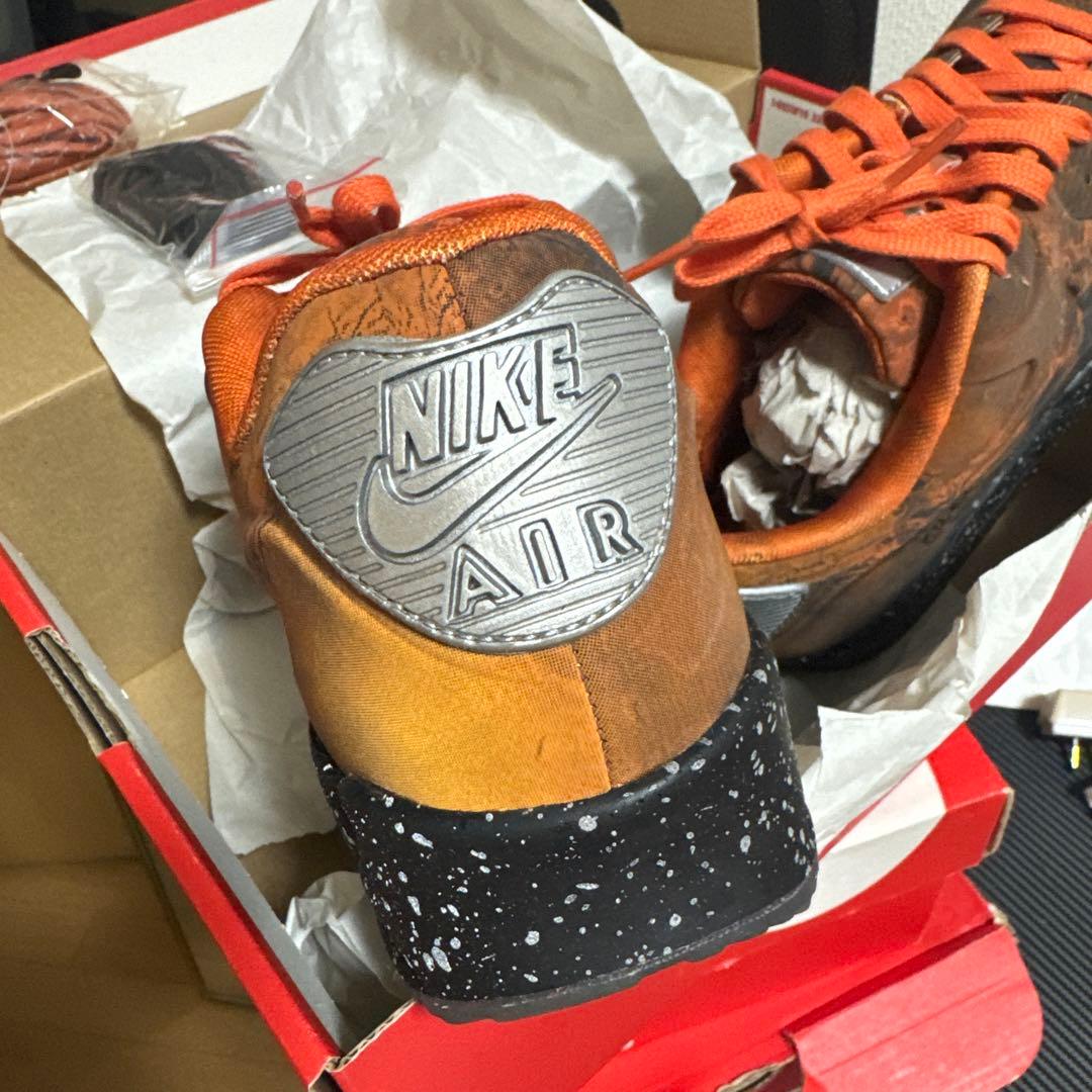 シューズ Nike Air Max 90 QS