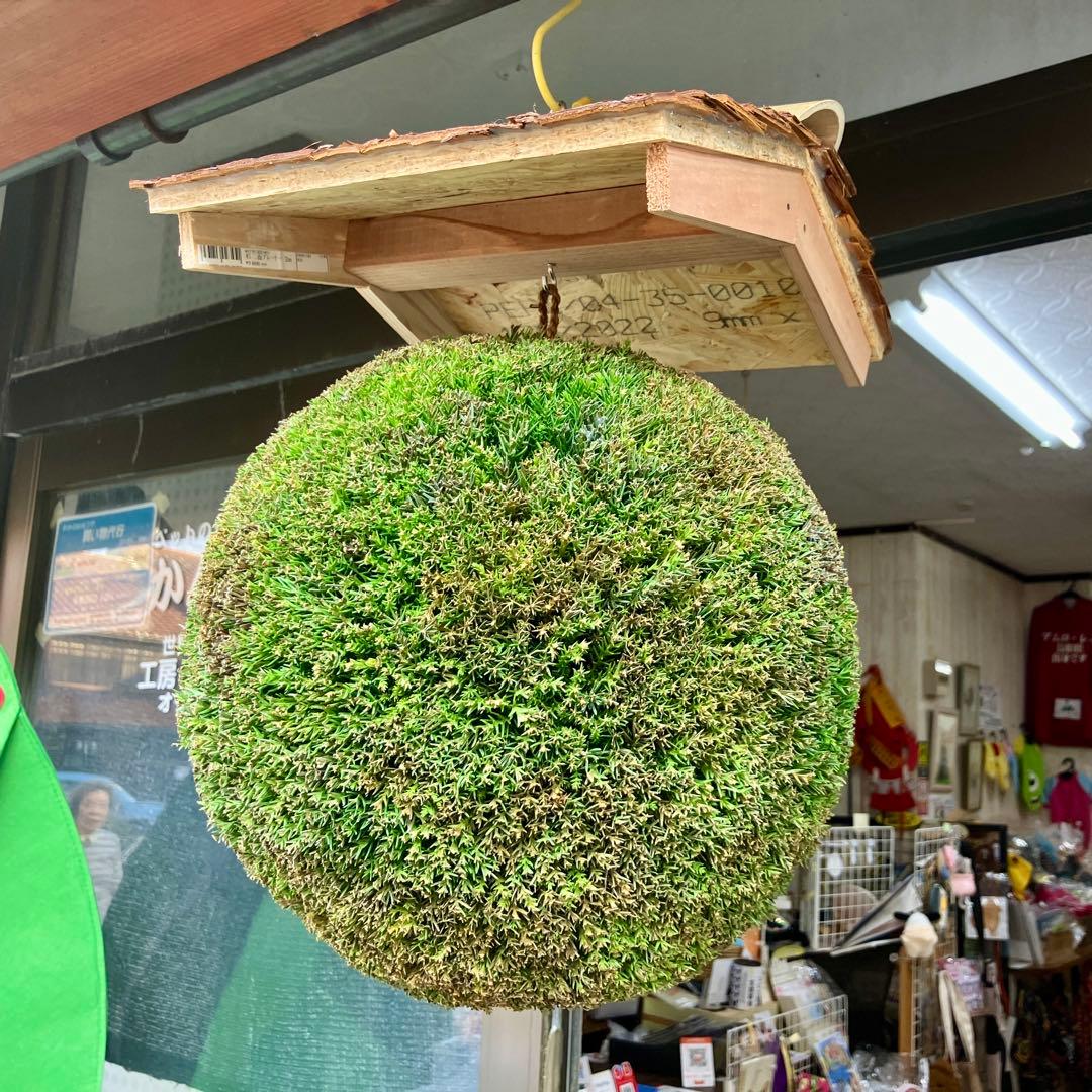 杉玉【屋根付き】④