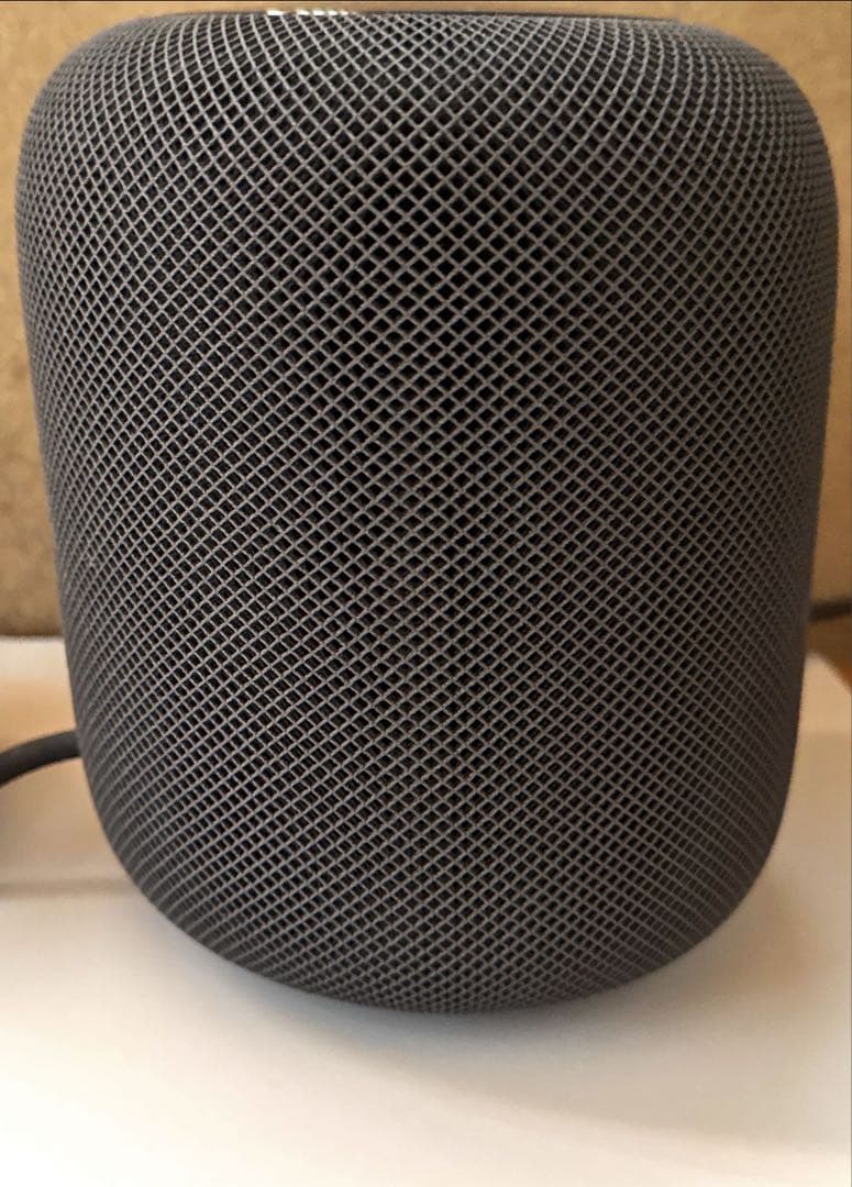 【美品】Apple pod 第1世代 スペースグレー