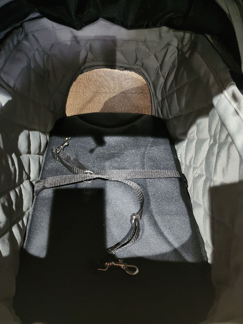 AIRBUGGY wiz X（エアバギー ウィズエックス） ペットカート