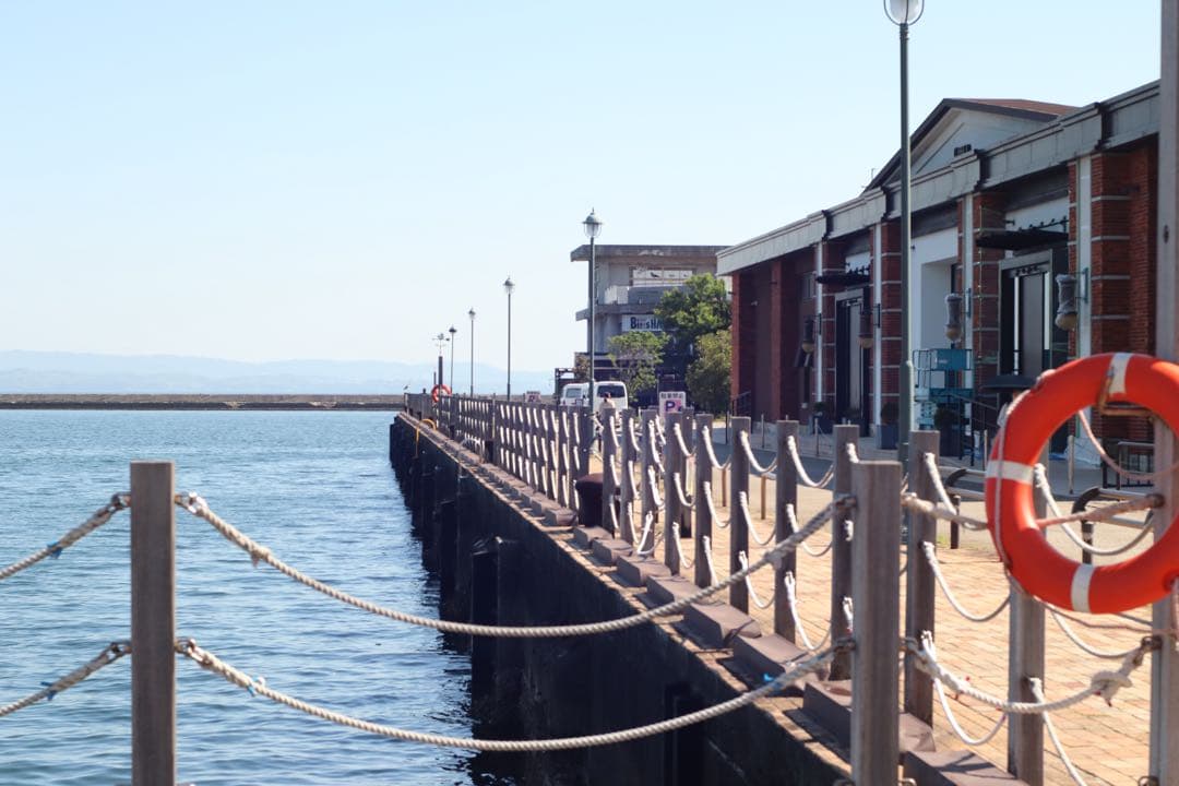 ★ OLYMPUS OM-1 (使用説明書付)+ ★ 標準レンズ 50mm