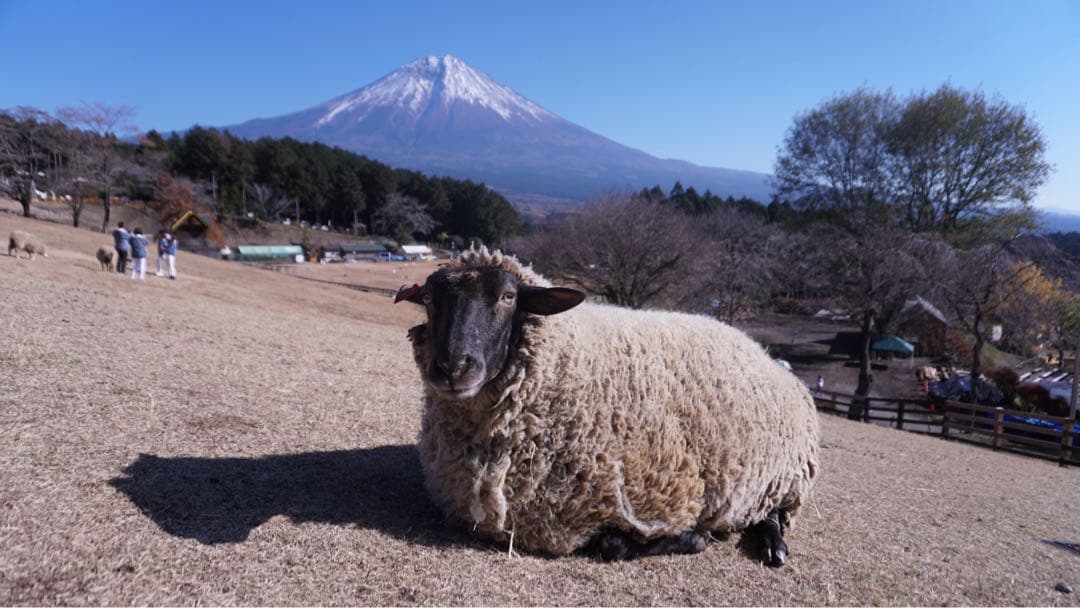 Sony a6300 4k Camera アルファ