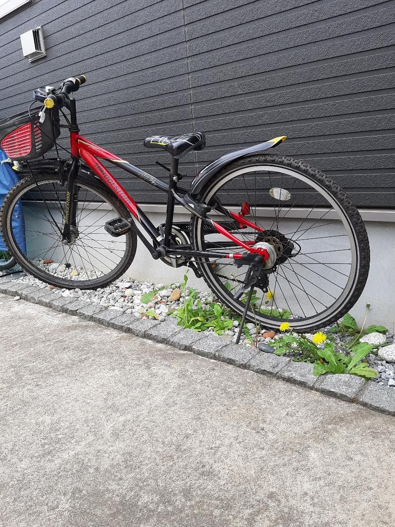 ブリヂストン ジュニア自転車 レッド/ブラック