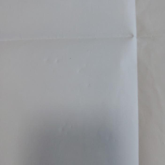 値引き 当時物　魔女の宅急便 ウルスラの絵 付録ポスター