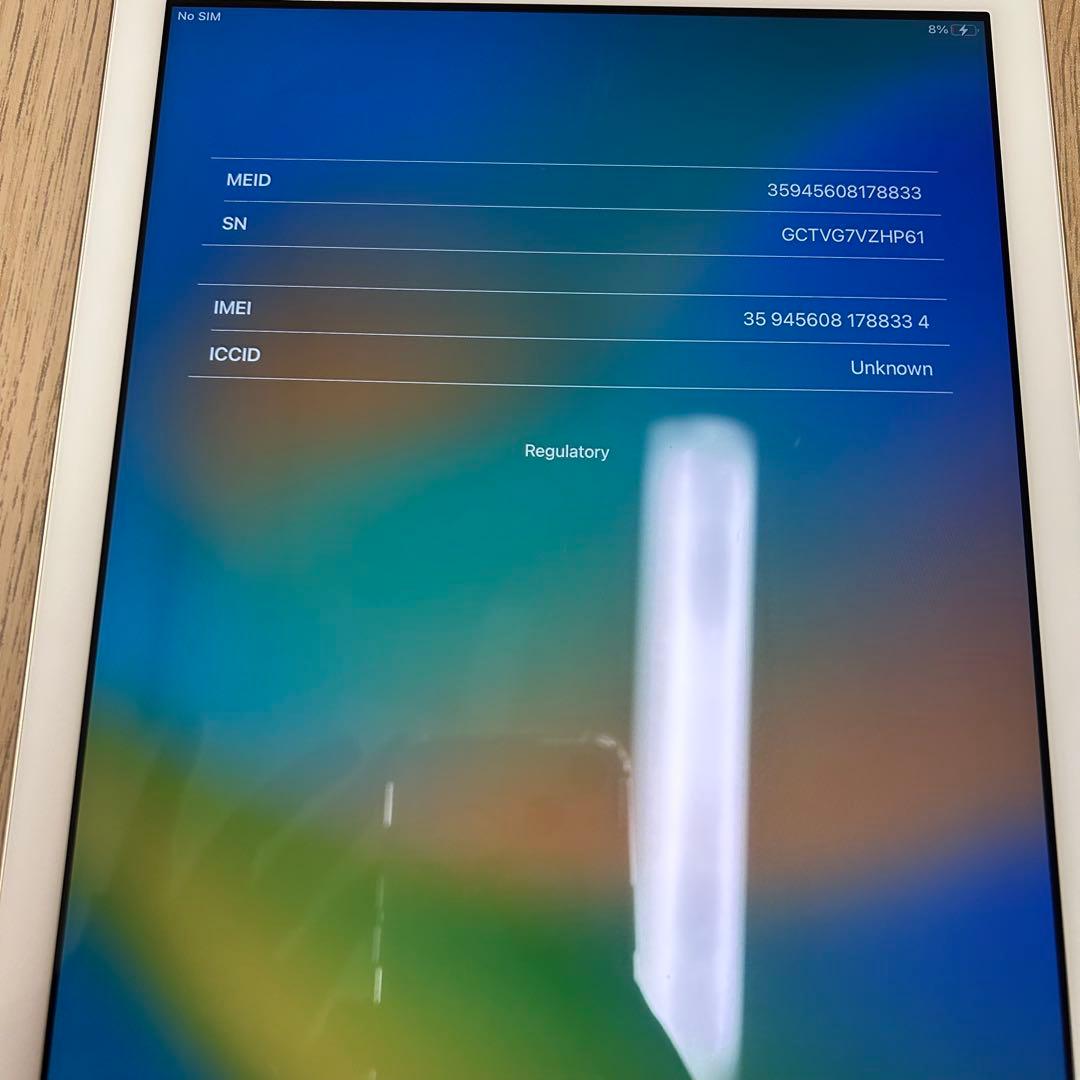 Apple iPad 第5世代 ゴールド