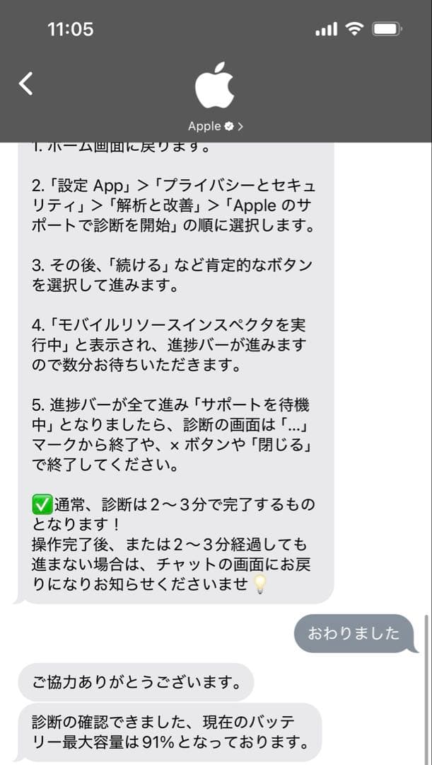 iPad mini６ WiFi 256GB パープル USGMoBi タッチペン