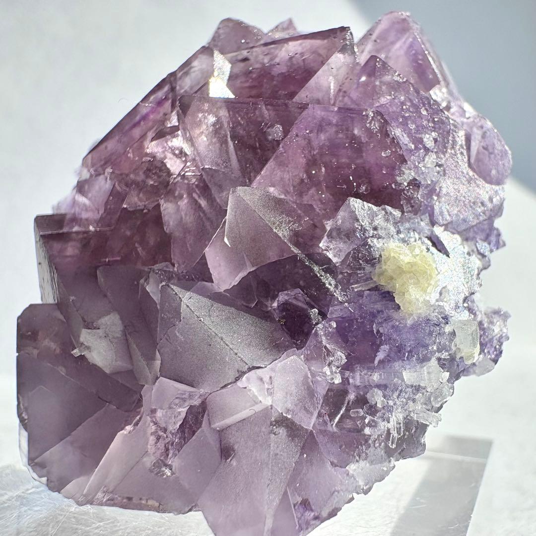 607 中国 内モンゴル産 フローライト&パイライト