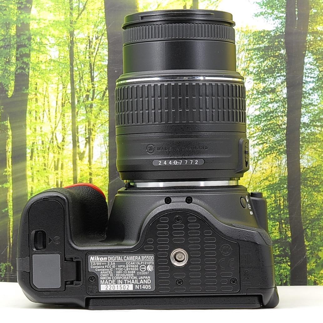 ショット数2126枚☆スマホ転送機能付☆Nikon D5500+35㎜単焦点