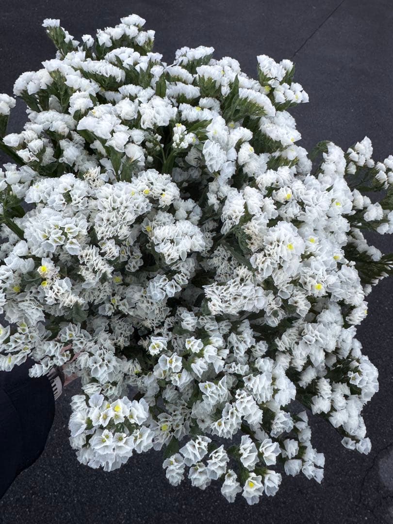 Flower lovers様 リクエスト 8点 まとめ商品