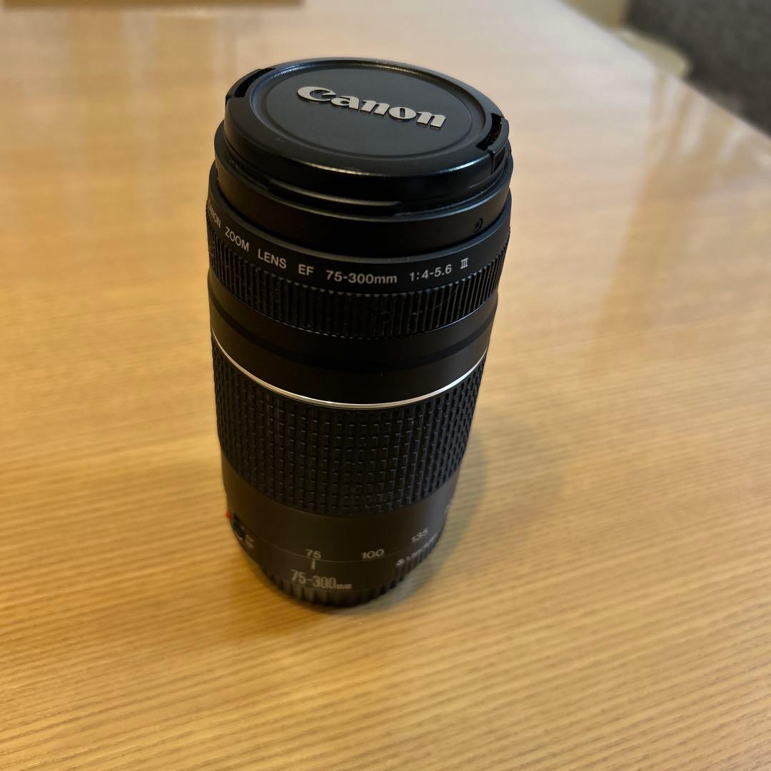 Canon レンズ☆キヤノン☆Canon EF 75-300㎜