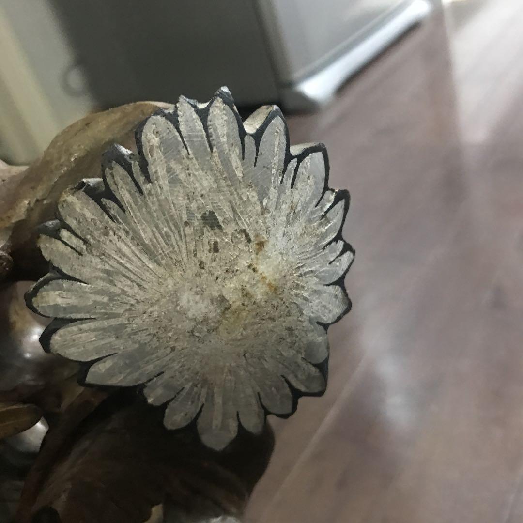 天然菊花石