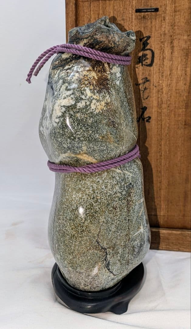 菊花石 梨地に糸菊　根尾 鑑賞石 水石 　文化財級　小林宗閑箱書き　在銘台座