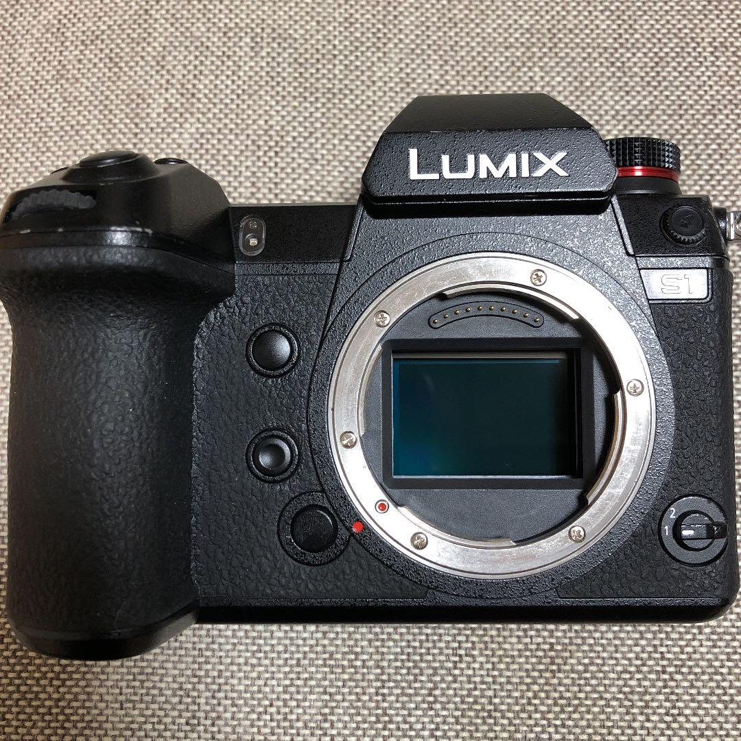 ★Panasonic LUMIX DC-S1