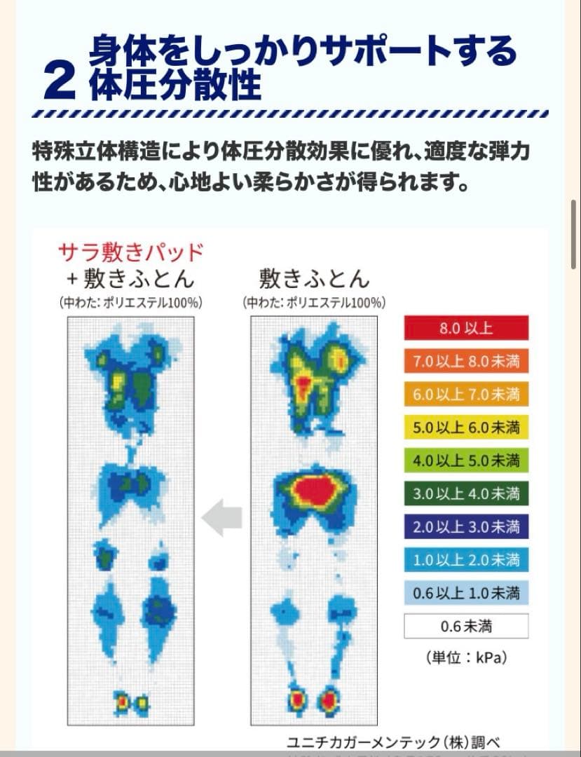 東洋羽毛　サラ敷きパッド　2枚セット