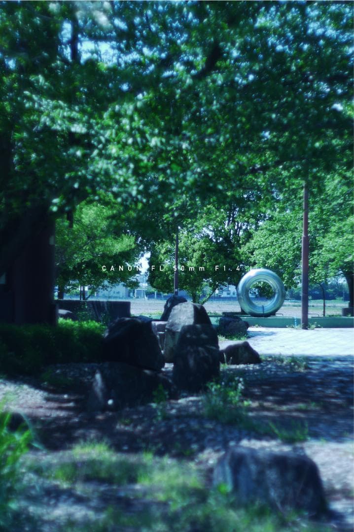 ★美品★ キャノン CANON FL 50mm F1.4 I 単焦点レンズ