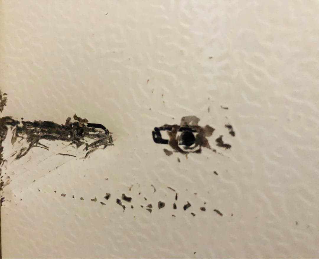 三ツ星貿易　2020年製 電気冷凍機 MB-92A