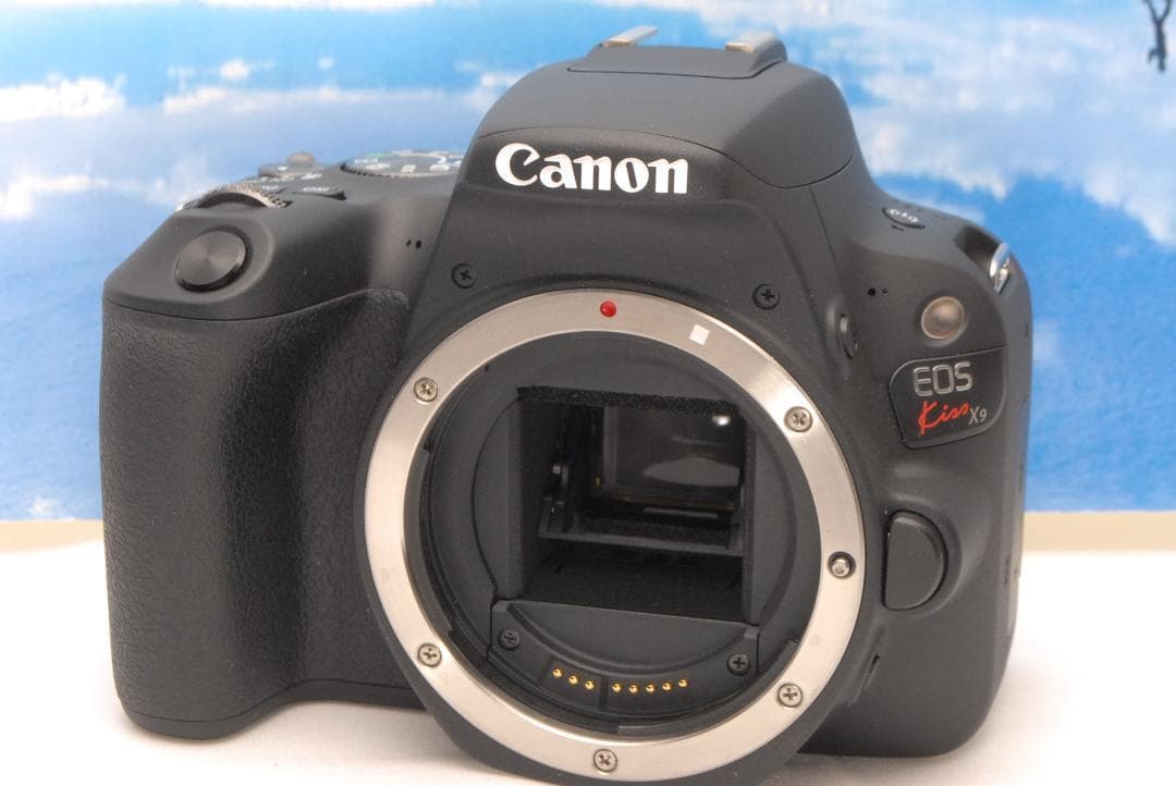 ✨高機能レンズ✨キヤノン EOS Kiss X9 ダブル 美品セットスマホ転送
