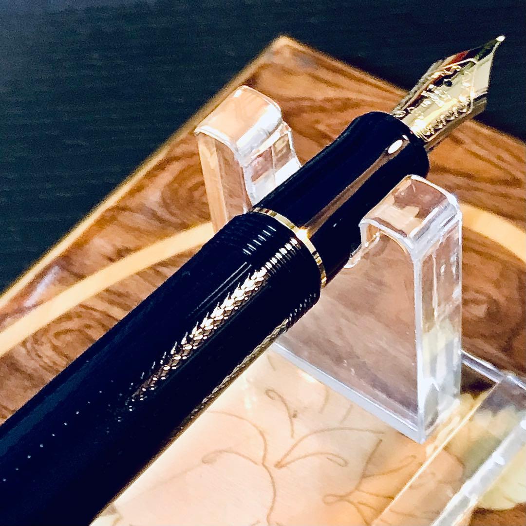 ☆特別限定パイロットカスタム74（M)☆新品未使用☆高級網目仕様☆希少限定品