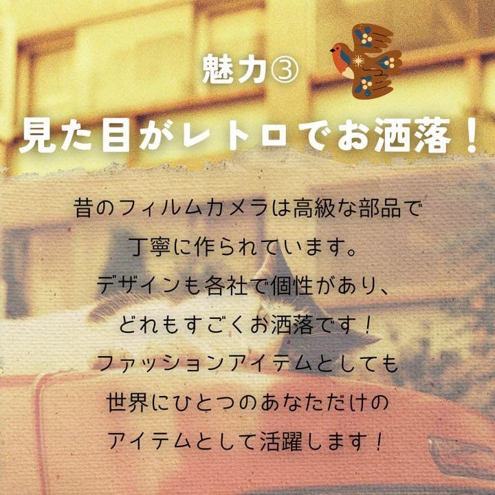 フィルムカメラの魅力！　当店のオリジナルウッドクラフトカメラを予約注文できます。