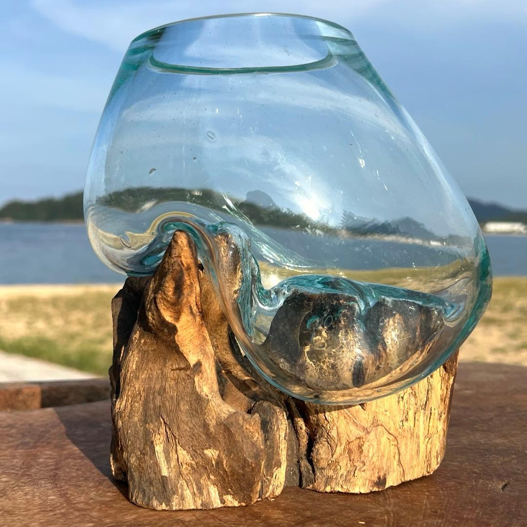 流木ガラス オブジェ中S 花瓶 金魚鉢 ガーデニング テラリウム 観賞魚 容器