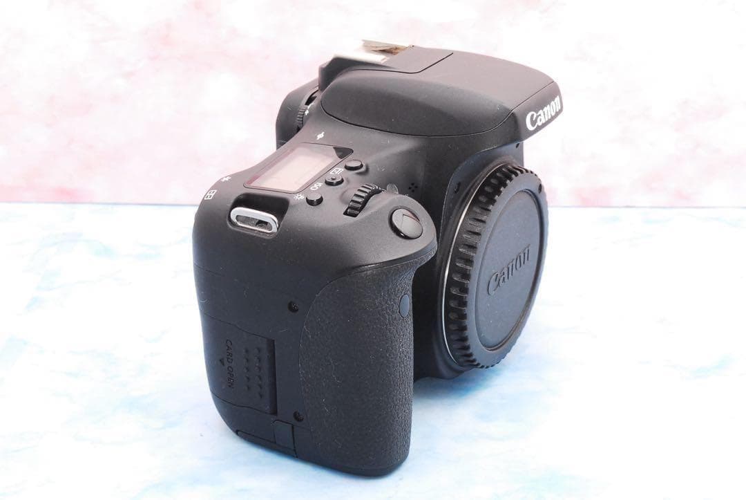 ☆Wi-Fi搭載☆Canon EOS 8000D☆Wレンズ☆一眼レフカメラ