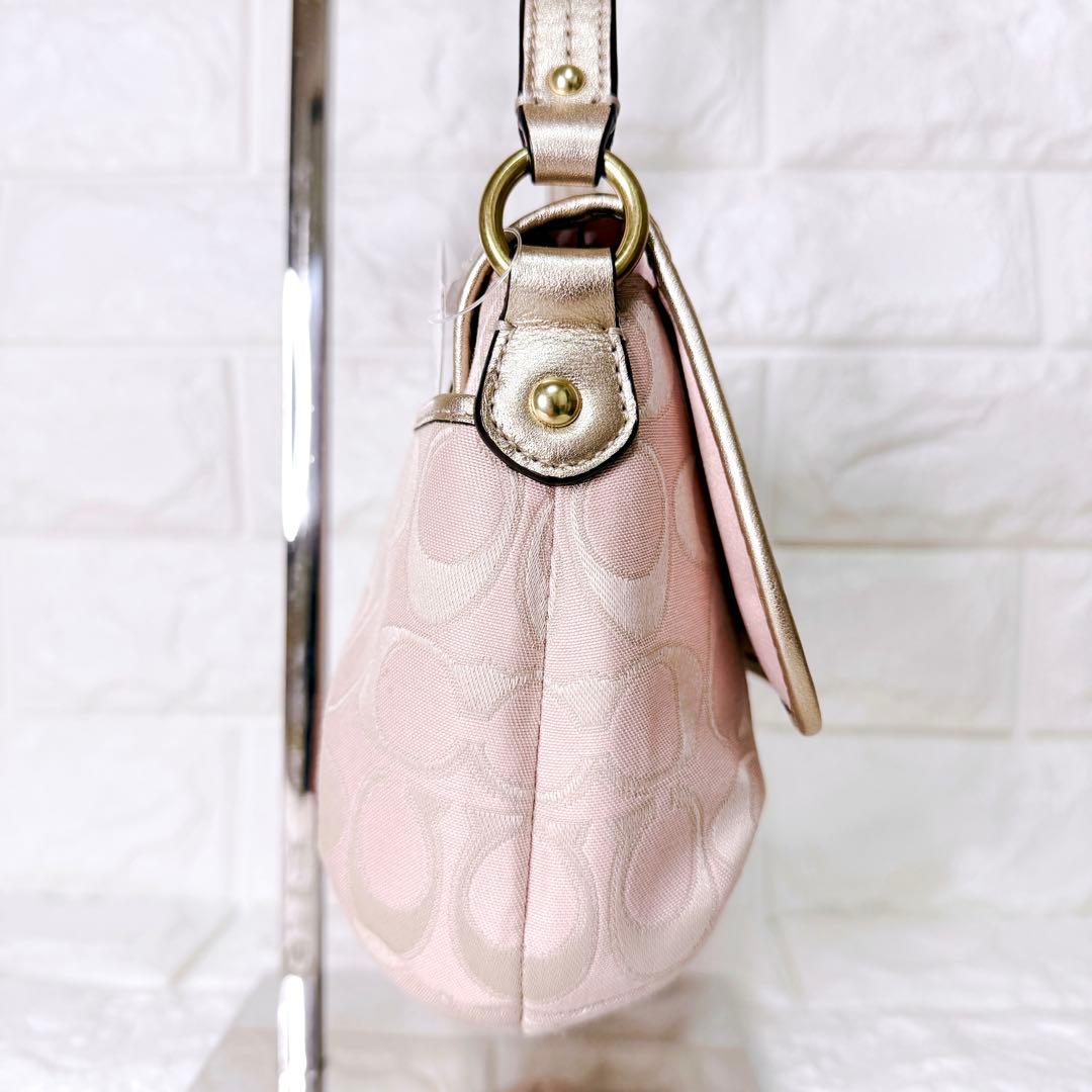 未使用✨COACH ワンショルダーバッグ アクセサリーポーチ シグネチャー