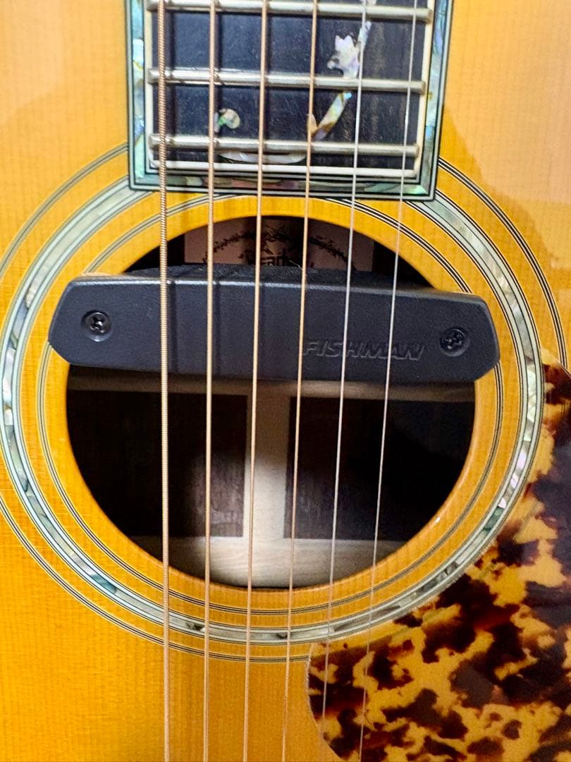 南翔【美品】Headway ヘッドウェイ　 オール単板仕様