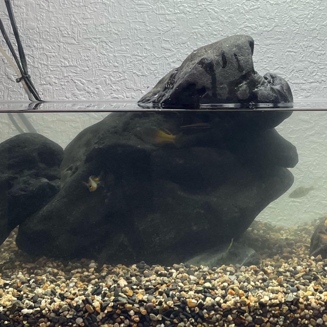 八海石 26kg